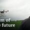 Drones, robots, and super sperm – the future of farming | DW Documentary (Farming documentary)