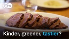 Fake steak – Future-proof food and lab-grown meat | DW Documentary