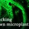 How dangerous are microplastics? | DW Documentary