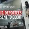 The Deal: Trump, Bukele & the Gangs of El Salvador