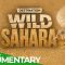 Destination Wild: The Sahara