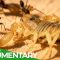 Extreme Nature: Earth’s Wildest Frontiers