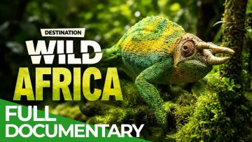 Destination Wild: Rwanda – Heart of Africa