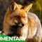 The Wild Heart Of Spain