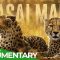 Masai Mara: African Wildlife Stories