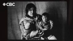 Hudson Baybies: An Untold Canadian History