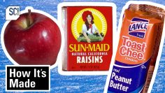 Back to School Lunch Snacks How It’s Made