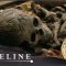 Archeologists Investigate Evidence Of The 6,000 Lost Vikings Of Greenland