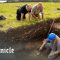 Archeologists Unearth A 24-Acre Roman Shore Fort