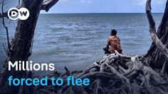 Climate Change and Displacement – How People Are Being Forced to Flee Their Homes