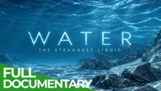 The Mystery of Water: Nature’s Strangest Liquid