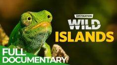 Destination Wild: Wild Islands