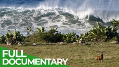 Wonder Shore: Africa’s Most Spectacular Coastline