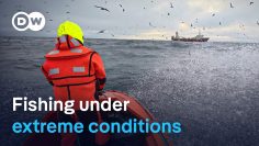 Backbreaking Work: Deep-Sea Fishing in the Arctic Ocean