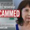 Investigating the Online Scam Epidemic
