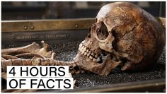 Facts About Our Ancient Ancestors