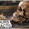 Facts About Our Ancient Ancestors