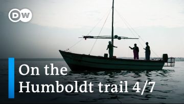 The Humboldt Current — Part 4