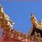 The Complete History Of Tibetan Buddhism: 2,500 Years Of Ancient Secrets
