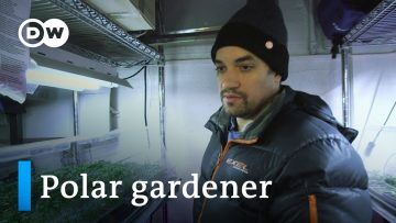 Growing greens in the Arctic