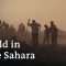 Gold rush in Mauritania