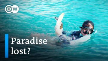 Curaçao and climate change