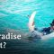 Curaçao and climate change