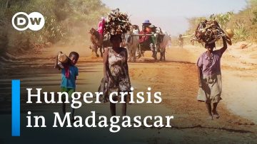 Climate change or politics? – Why Madagascar is going hungry