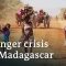 Climate change or politics? – Why Madagascar is going hungry